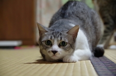 一秒前