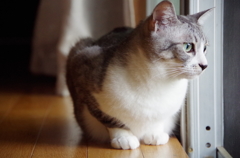 縁側る３