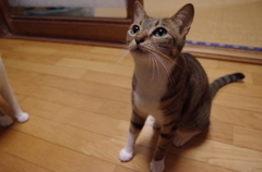 わくわく