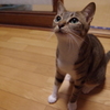 わくわく