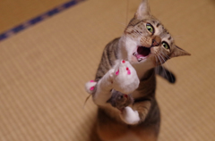 無我