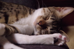 眠る