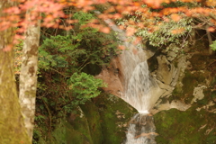 紅葉狩り２０２１