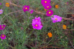 仕事帰りに 仕事帰りに
