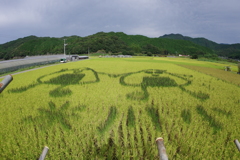 田んぼアート２０１８