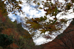 親子で紅葉狩り