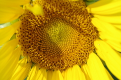 仕事帰りに 仕事帰りに