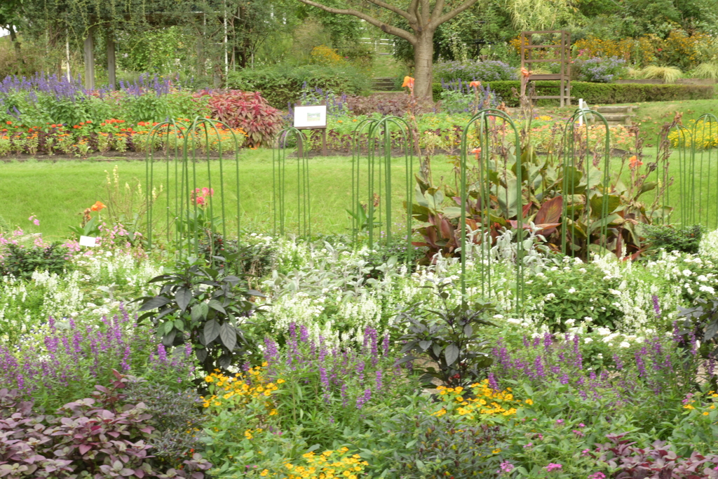 やまぐちフラワーランド