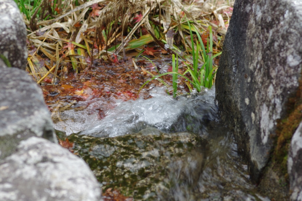 親子で紅葉狩り