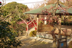 梅園2020　東屋と橋