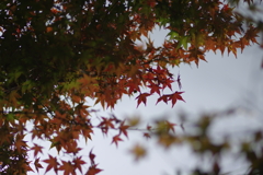 陰影撮り