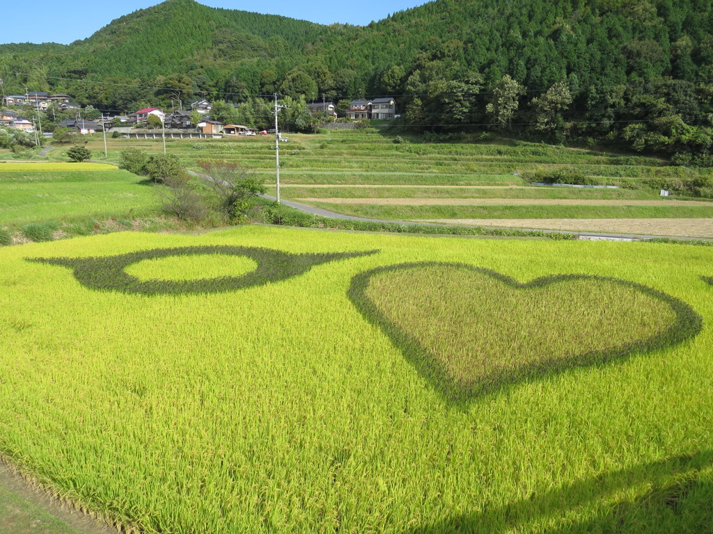 別の田んぼアート１
