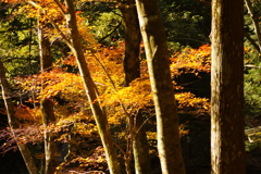 寂地峡２０１７