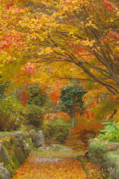 夫婦で紅葉狩り
