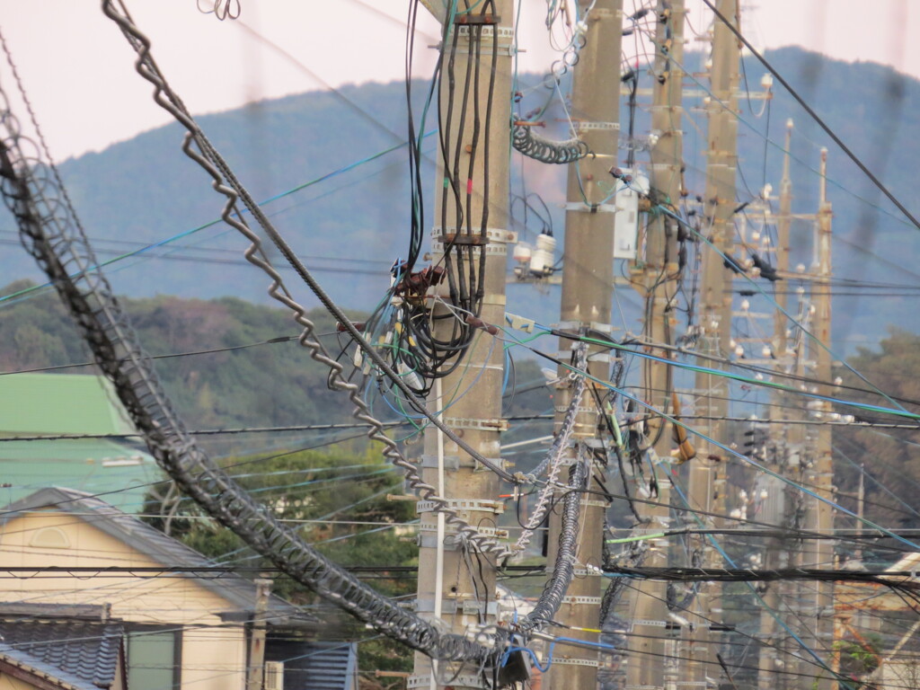 圧縮構図の電柱