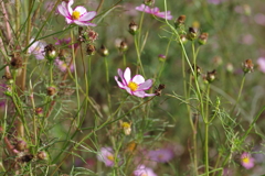 仕事帰りに 仕事帰りに