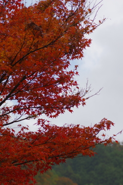夫婦で紅葉狩り