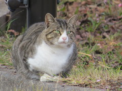 狙い