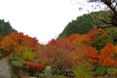 夫婦で紅葉狩り