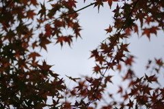 陰影撮り