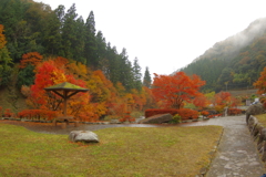 夫婦で紅葉狩り