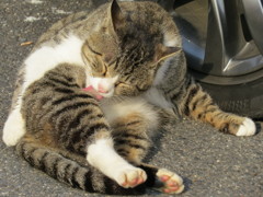 セクシーポーズ