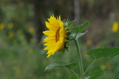 仕事帰りに 仕事帰りに
