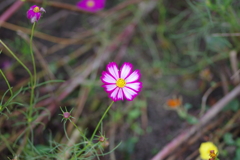 仕事帰りに 仕事帰りに
