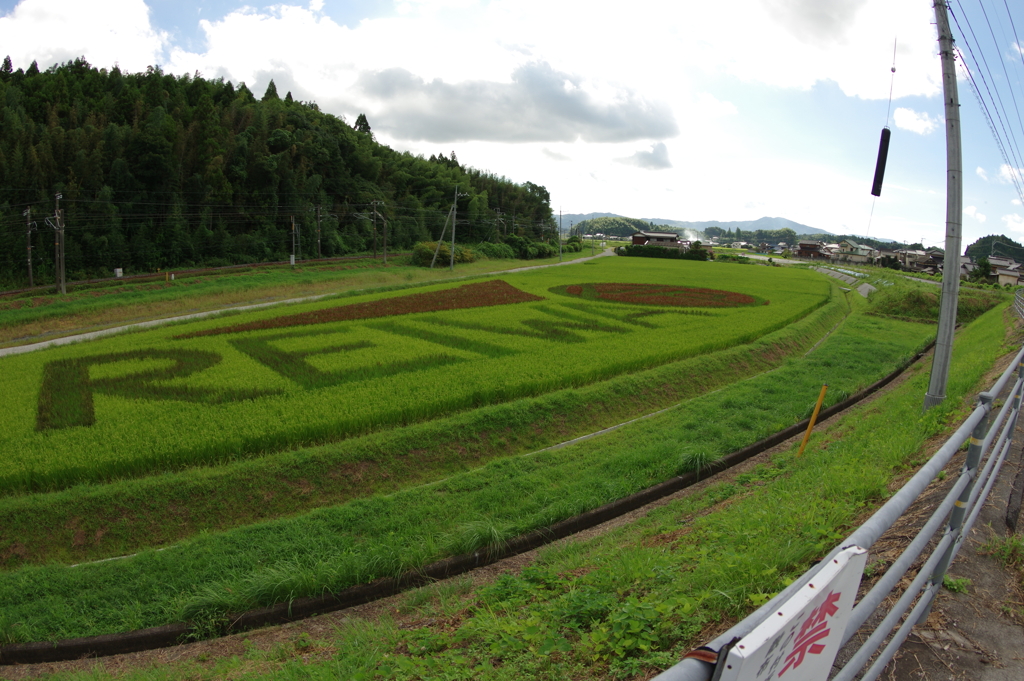 田んぼアート2019　in田布施