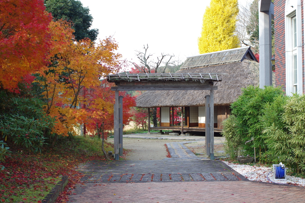 伊藤公記念公園の紅葉
