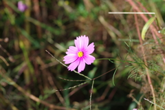 仕事帰りに 仕事帰りに