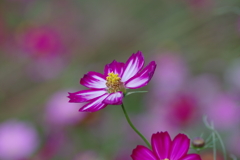 仕事帰りに 仕事帰りに