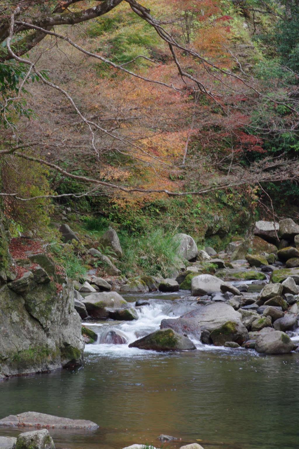 親子で紅葉狩り