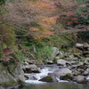 親子で紅葉狩り