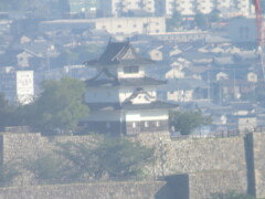 ゴールドタワーからの丸亀城