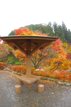 夫婦で紅葉狩り