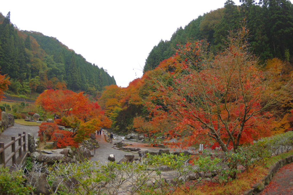 夫婦で紅葉狩り