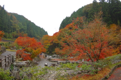 夫婦で紅葉狩り