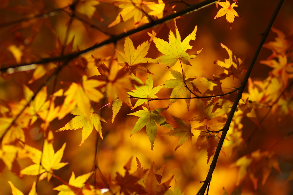 寂地峡２０１７－２