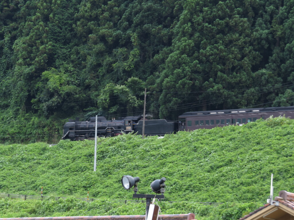 ピンボケデゴイチ