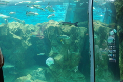 海響館
