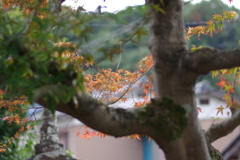 フレーミング失敗