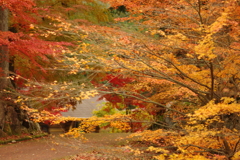 紅葉狩り２０２１