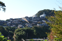 スポーツ公園内でウォーキング撮影