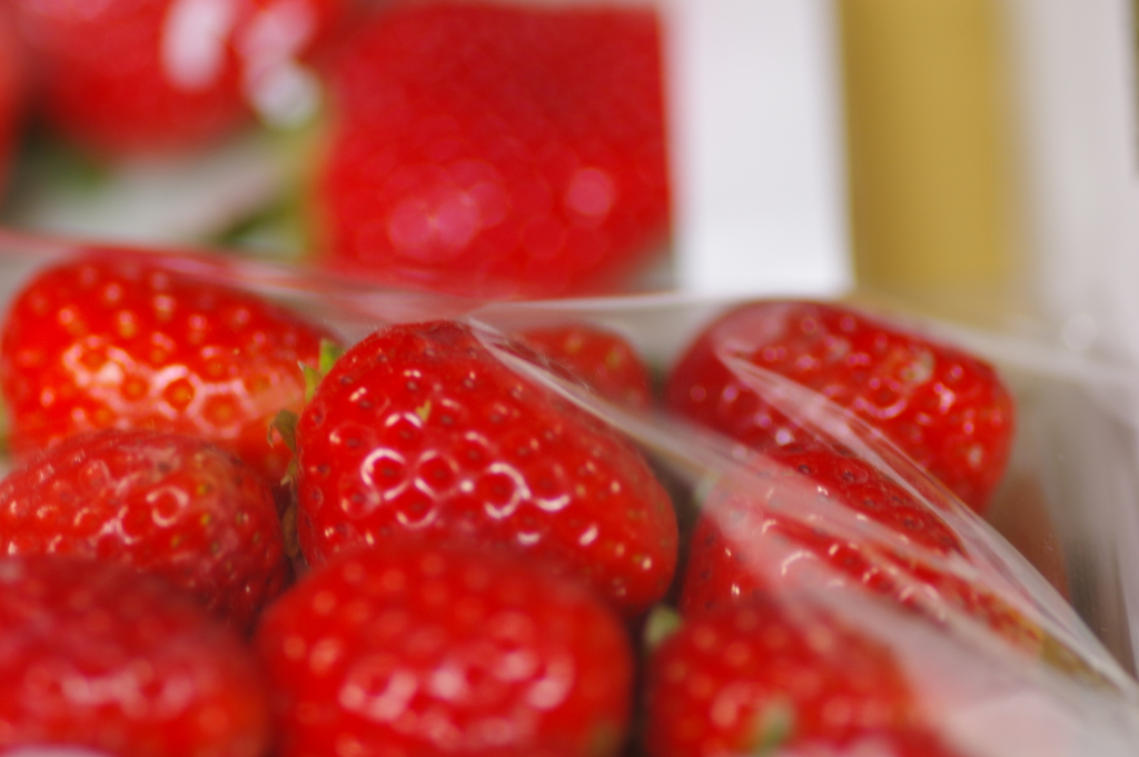 fruit