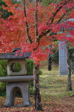伊藤公記念公園の紅葉