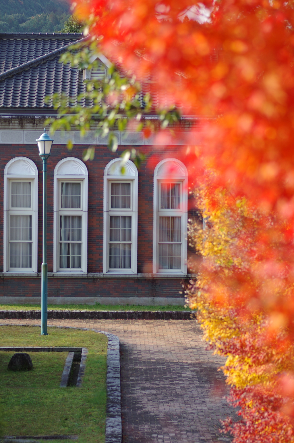 伊藤公記念公園の紅葉