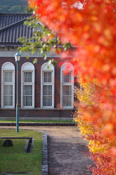 伊藤公記念公園の紅葉