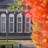 伊藤公記念公園の紅葉
