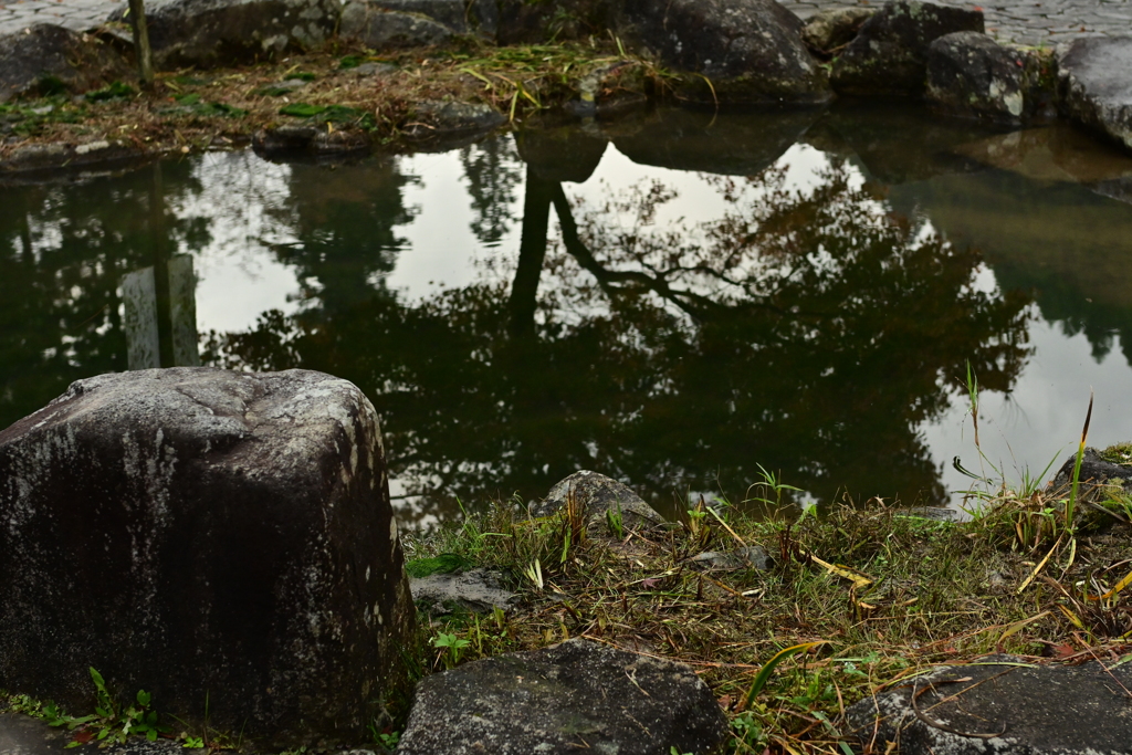 夫婦で紅葉狩り